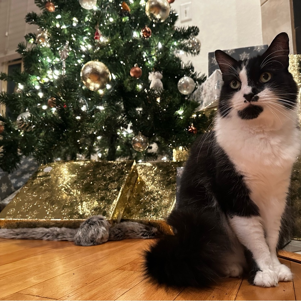 For Mariah 🖤🖤